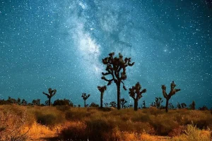 Time Lapse