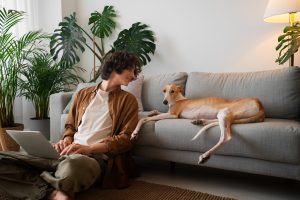 The evolution of pet living: integrating high-art aesthetics into daily companionship