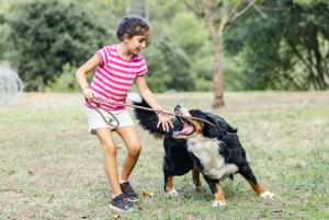 Steps to Follow After Reporting a Dog Bite Injury