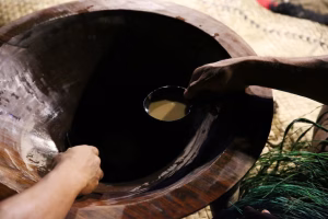 The Rise of Kava  Natural Fitness Recovery in Australia